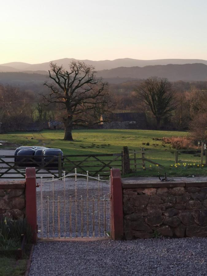 Rainors Farm B&B Gosforth  Luaran gambar