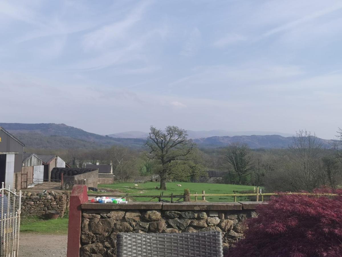 Rainors Farm B&B Gosforth  Luaran gambar