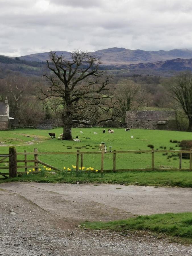 Rainors Farm B&B Gosforth  Luaran gambar