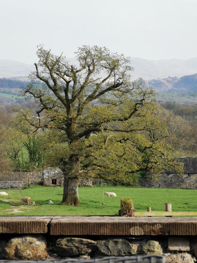 Rainors Farm B&B Gosforth  Luaran gambar